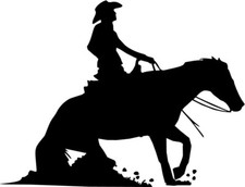 Adesivo cavallo - sport