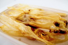 Fonte primaria | orecchie di