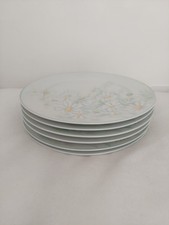 Set 6 piatti porcellana
