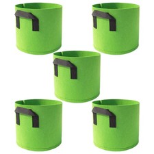 5 pezzi di piante per