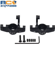 Hot Racing Losi Ten SCTE Ten T