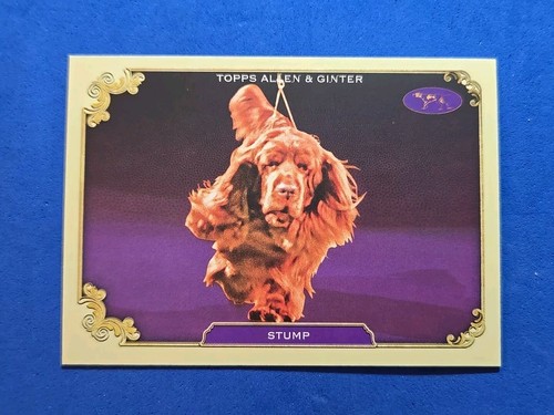 2024 stump topps - allen, &