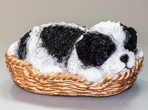 Statuina shih tzu pet memorial - statuina,