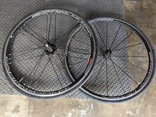 Campagnolo Shamal Ultra 11
