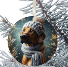 Rhodesian Ridgeback cane da appendere Bauble regalo decorazione compleanno Natale 