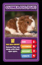 1 x info card Baby Animal