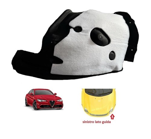 Passaruota anteriore parte - passaruota,