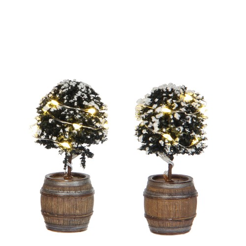 Luville 1025899 buxus tree - buxus,