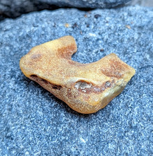 Pietra Ambra Naturale Baltica