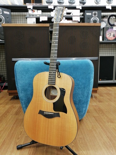 Chitarra elettrica acustica