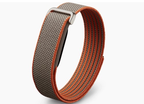 Google fitbit air prevendita - air,