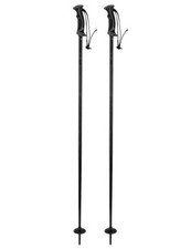 Bastoncini da sci Salomon ARCTIC Lady nero/grigio