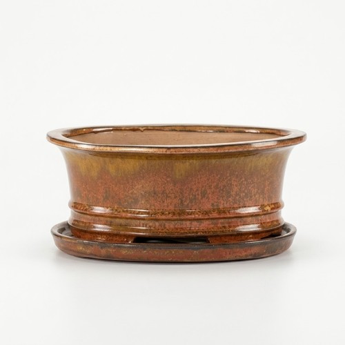 Vaso per bonsai - , ceramica