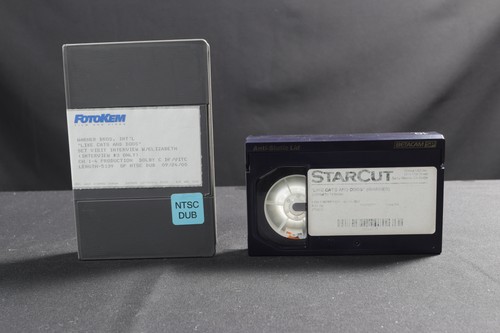 Betacam like cats - betacam, sp