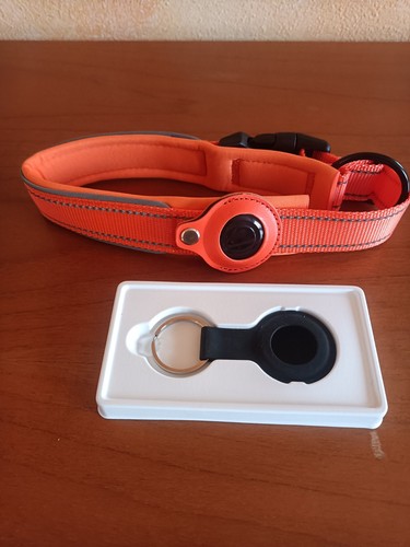 Collare gps per cani senza - per,