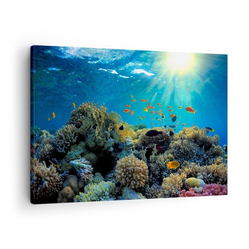 Quadro tela 70x50cm - su,