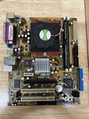 Scheda madre asus - scheda,
