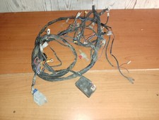 Impianto Elettrico Completo Per Malaguti Ciak 100 2t Motore Franco Morini