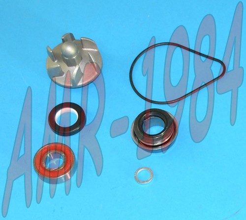 Kit revisione pompa acqua h2o - revisione,
