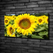Tulup Dipinto Su Tela Pittura