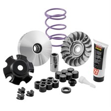 Variatore Malossi Multivar MHR