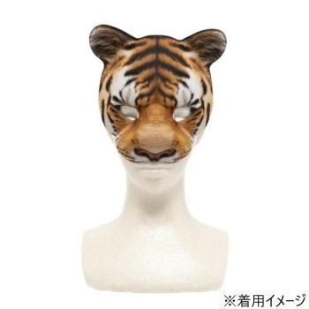 Costume cosplay costume
