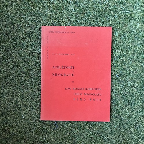 Acqueforti xilografie - acqueforti,