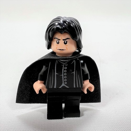 Lego harry potter - harry, professor