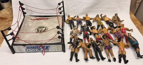 Ring giocattolo wwe - ring,