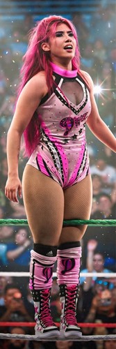 Banner vinile wwe - vinile,