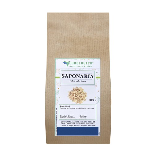 Saponaria radice taglio