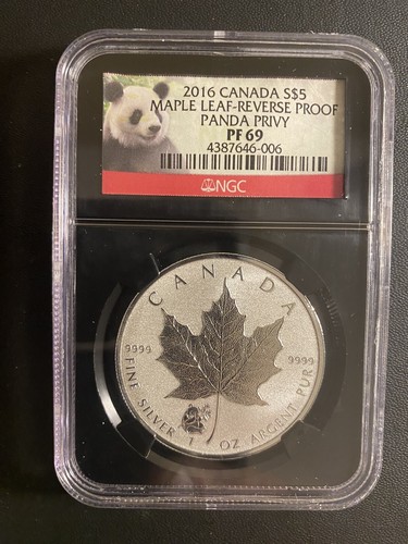 2016 acero canadese panda - $5,