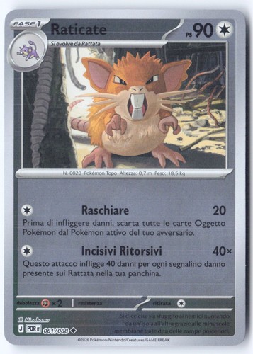 T334 raticate 061 088 - [t334], 061/088