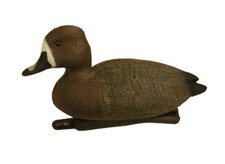 Moriglione femmina  - RA SPORT