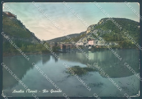 Terni amelia rio grande - amelia,