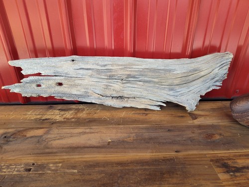 Grande tronco driftwood wall - tronco,