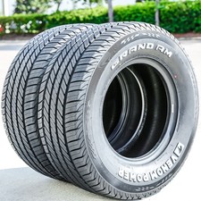 2 Tires Venom Power Grand AM