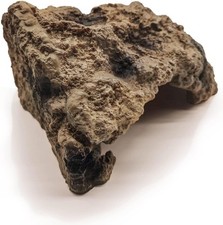 Rettili simulazione grotta - rettili,