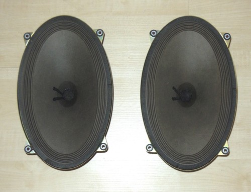 Grundig altoparlante chassis