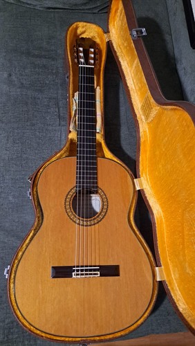 Chitarra classica concerto - classica, da