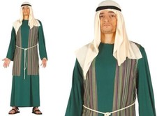 Costume pastore arabo verde