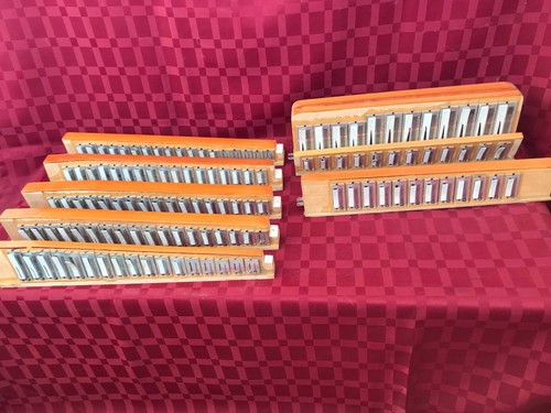 Fisarmonica vintage anni - , 60