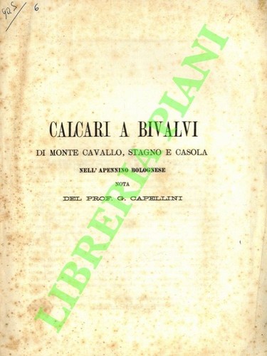 Capellini giovanni calcari a - capellini,