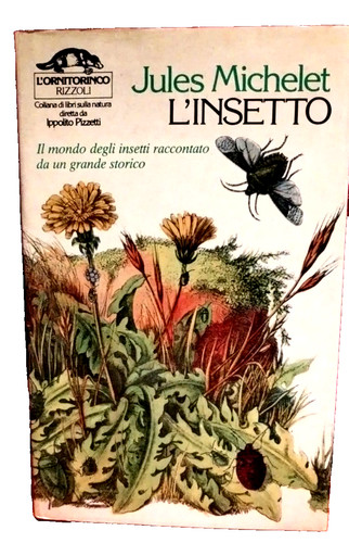 Insetto jules michelet - "l'insetto",