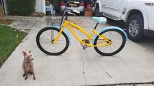 Rara bicicletta nirve - nirve, paul