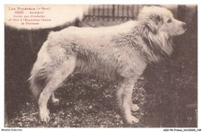 AZOP8-0796-31 - Bambou - Cane