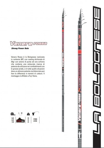 Canna falcon venere rossa - venere, 5