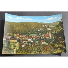 Cartolina Besano - Panorama