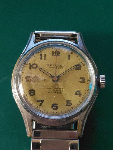 Orologio polso seeland 17j - orologio,