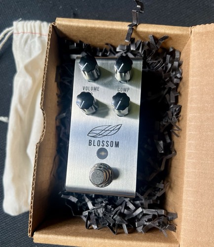 Jackson audio blossom - jackson,